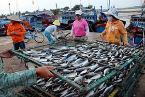 Đề xuất thu thuế với thương lái Trung Quốc