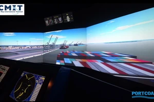 Siêu tàu gần 200.000 tấn lớn nhất thế giới cập cảng VN