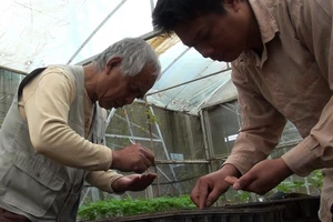 Giúp người Việt hiểu về thực phẩm sạch