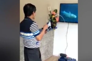 Câu cá trên... tivi