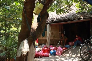 Clip: Đại gia Sài Gòn nhiều đất nhưng vẫn nghèo