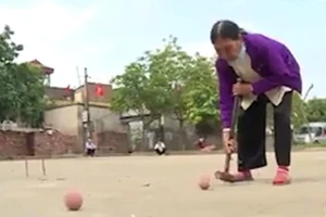 Bí quyết 'trường sinh bất lão' được tìm thấy ở Hà Nội