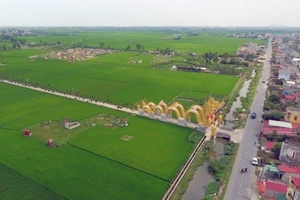 Clip: Đôi rồng khổng lồ nằm giữa cánh đồng ở Thái Bình