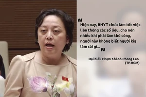 Đại biểu Phong Lan tranh luận với tổng giám đốc BHXH VN