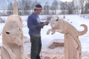 'Hô biến' 2 khúc gỗ thành 2 con vật dễ thương