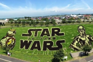 Ngắm những bức tranh đồng lúa 7 màu sống động ở Nhật 