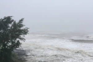 Quảng Trị: Biển Cửa Tùng, gió lớn, sóng biển cao 5- 7 m