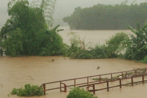 Chùm ảnh: Mưa lũ kinh hoàng ở các tỉnh miền Bắc