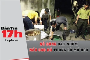 Bản tin 17h:Nổ súng bắt nhóm nấu cao hổ trong lò mổ heo