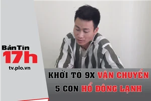 Bản tin 17h: Khởi tố 9X vận chuyển 5 con hổ đông lạnh