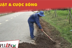 Khi nào Công viên Gò Vấp mới hoàn thành?