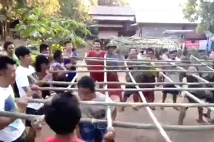 Thú vị với trò chơi nhảy sạp... bằng đầu