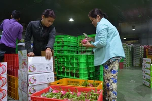 Thuế TNDN xuống 15%: Doanh nghiệp, Nhà nước đều lợi