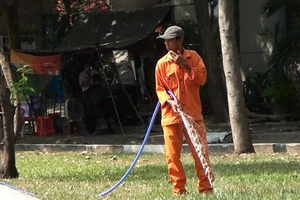 Dùng nước cống tưới cây: Đại diện tổ chăm sóc cây xanh nói gì?
