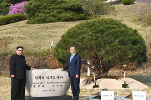 Clip: Ông Kim cùng ông Moon trồng cây tại biên giới 2 miền