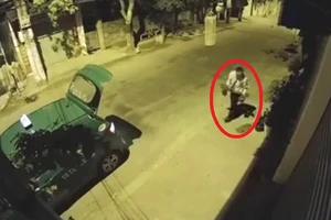Camera ghi cảnh taxi trộm cây cảnh trong đêm