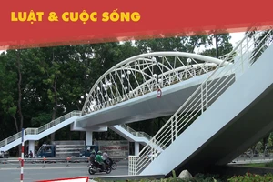 Sự thật về cây cầu vượt 11,6 tỉ đồng ở TP.HCM