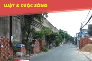 Dân lo sợ bức tường dài gần 1 km có nguy cơ sụp đổ