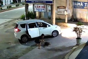 Phẫn nộ đi ô tô trộm chó trong chớp mắt