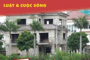 Muốn mua đất nền ở các dự án phân lô, cần lưu ý 5 điều này!