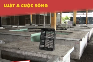 Chưa rõ số phận 2 ngôi chợ bỏ hoang ở quận 9