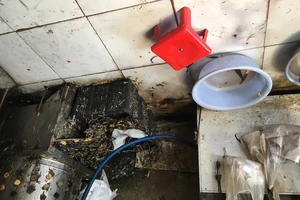 Giết mổ gia cầm không đảm bảo, có cấm được không?