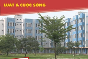 Tìm cách 'giải cứu' hàng ngàn căn hộ tái định cư ở Bình Chánh