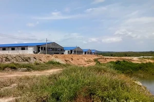 Trại heo rộng 14,000 m2 đe dọa ô nhiễm nguồn nước hồ Trị An