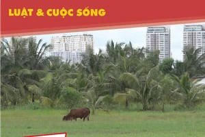 Dân Thanh Đa muốn sớm thực hiện dự án khu đô thị mới