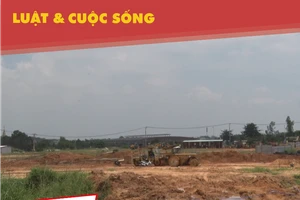 TP.HCM: Đâu là nguyên nhân làm giá đất ở quận 9 sốt ảo