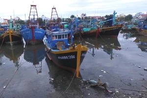 Tàu thuyền đậu kín sông Cà Ty để tránh bão số 9