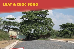 Xử lý nghiêm các dự án bất động sản bị ách tắc tiến độ