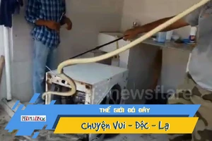 Phát hiện con rắn dài gần 2m trú ẩn trong máy giặt