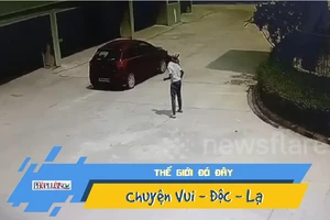 Video: Đi lại tỉnh bơ sau khi bị xe tông bay vài mét