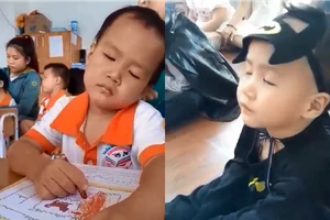 Hài hước với cậu bé học cũng ngủ, chơi cũng ngủ