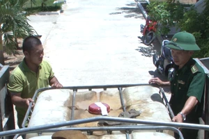 Biên phòng phát hiện 1.800 lít dầu DO không nguồn gốc