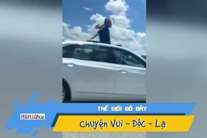 Video: Cố phạm tội để ngồi tù vì sợ sống với vợ