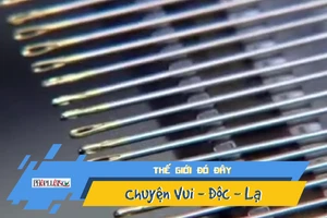 Video: Bạn có biết một chiếc kim khâu được tạo thành ra sao?
