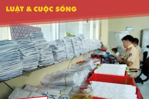 Hàng ngàn bằng lái xe bị 'bỏ rơi': Xử lý sao?