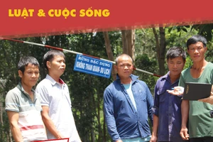 Vụ cưa gỗ chết khô: Vì sao từ trắng án lại bị đề nghị có tội? 