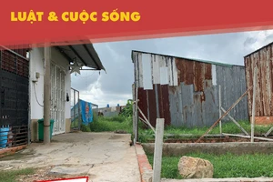 Xây lụi trên đất người khác: Người trong cuộc nói gì?