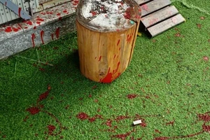 Một gia đình đang hoang mang vì bị tạt sơn, mắm tôm