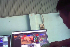 Video: Báo tin các sới gà, tám ngày sau... vẫn như cũ