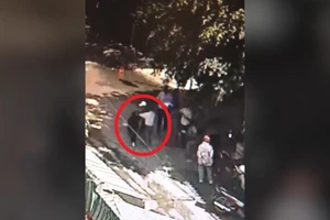 SVTT báo Pháp Luật TP.HCM bị hành hung trước chùa Diệu Pháp