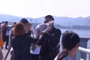 Du khách Trung Quốc chọc ghẹo hải âu hoang dã