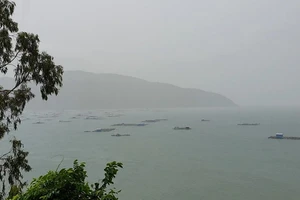 Phú Yên: mưa to, gió mạnh, sóng biển dâng cao 