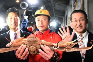 Choáng với con cua được bán với giá 1 tỉ đồng