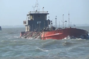 Video: Cận cảnh sà lan dàn hàng hút trộm cát trên biển Cần Giờ