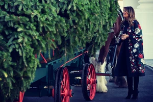 Đệ nhất phu nhân Mỹ đón cây thông Giáng sinh tại Nhà Trắng