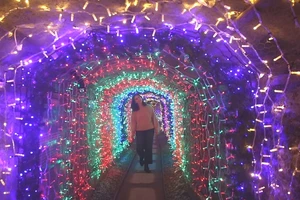 Chiêm ngưỡng đường hầm ánh sáng Giáng sinh dài nhất nước Anh